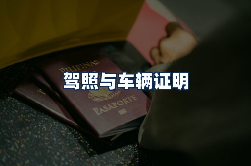 车辆证明展示