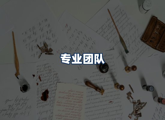 专业团队